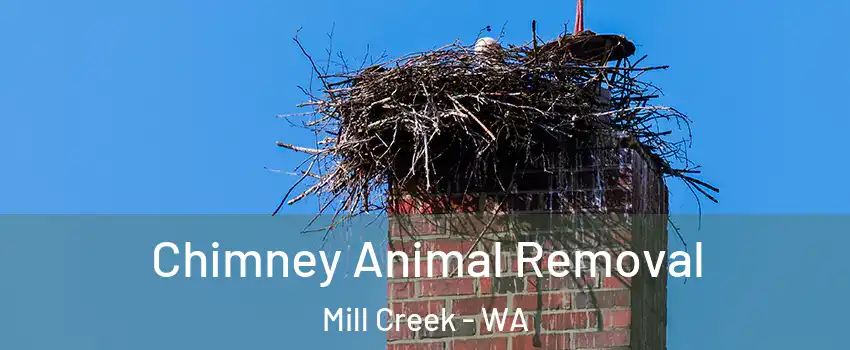  Chimney Animal Removal Mill Creek - WA