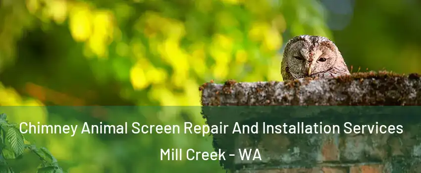  Chimney Animal Screen Repair And Installation Services Mill Creek - WA