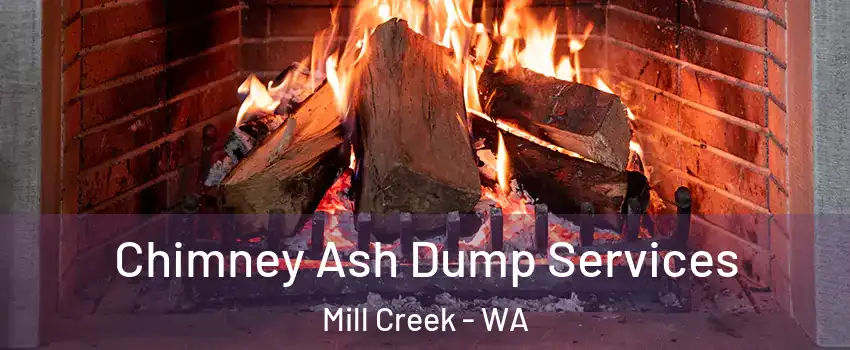  Chimney Ash Dump Services Mill Creek - WA