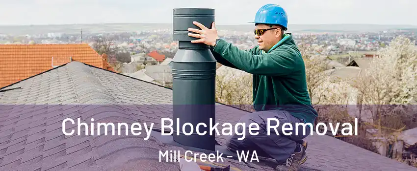  Chimney Blockage Removal Mill Creek - WA