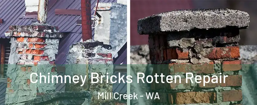  Chimney Bricks Rotten Repair Mill Creek - WA
