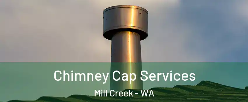  Chimney Cap Services Mill Creek - WA