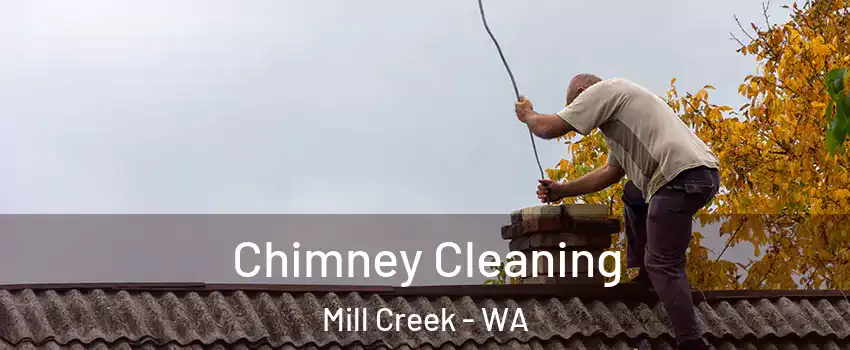  Chimney Cleaning Mill Creek - WA