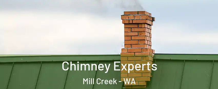  Chimney Experts Mill Creek - WA