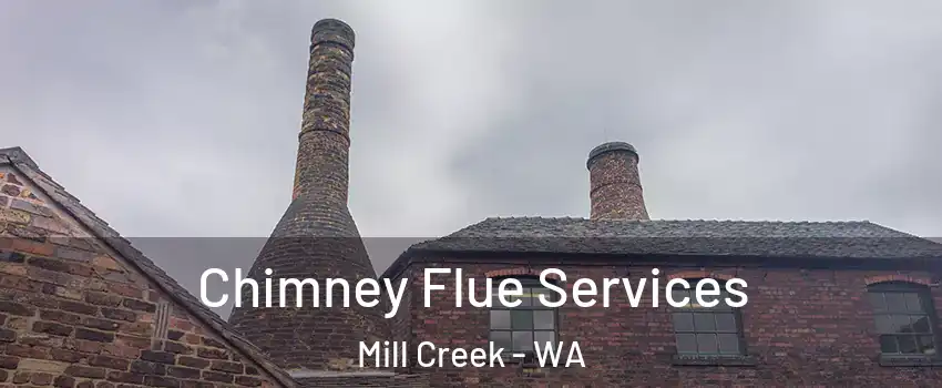  Chimney Flue Services Mill Creek - WA