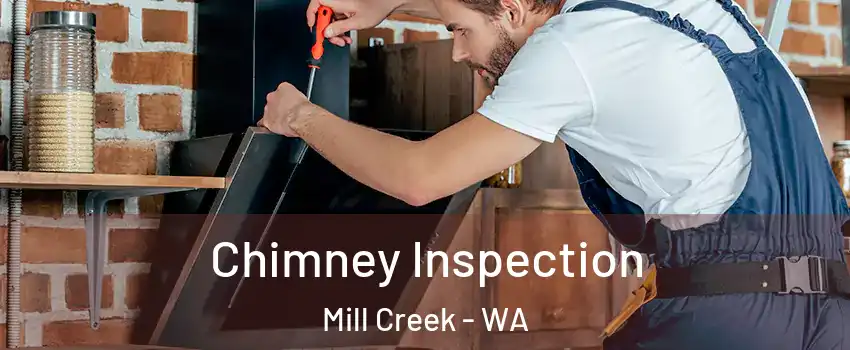  Chimney Inspection Mill Creek - WA