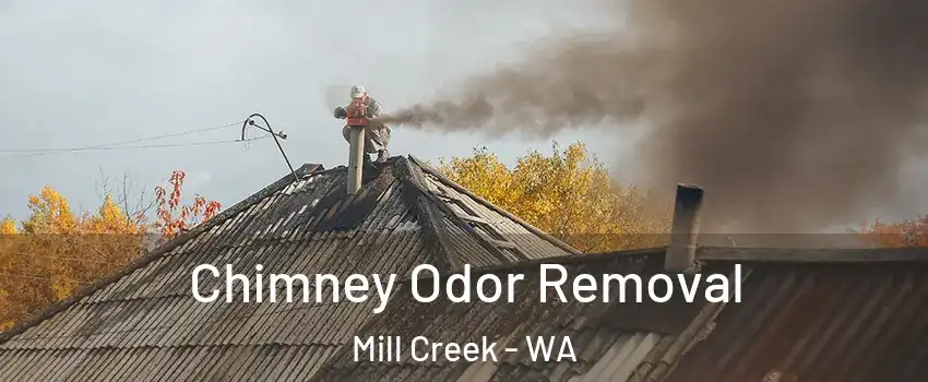  Chimney Odor Removal Mill Creek - WA
