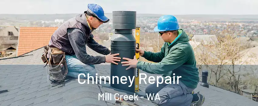  Chimney Repair Mill Creek - WA