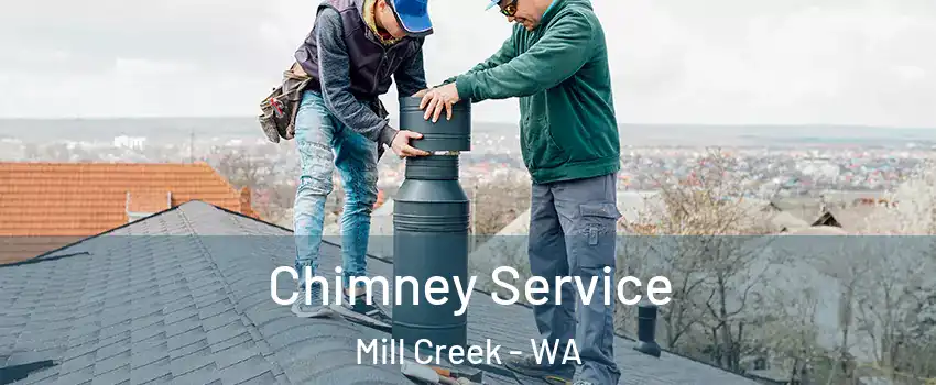  Chimney Service Mill Creek - WA