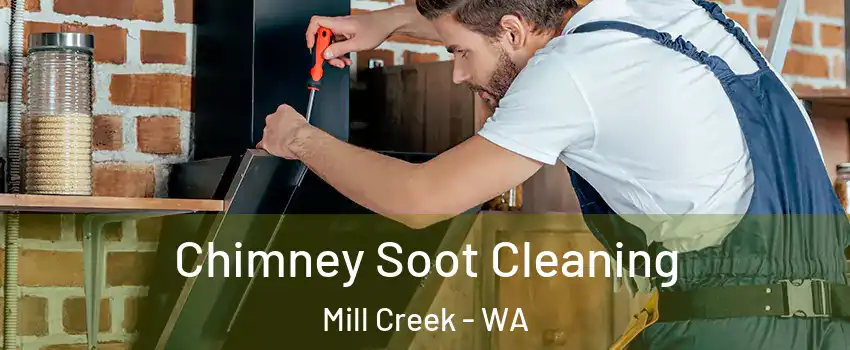  Chimney Soot Cleaning Mill Creek - WA