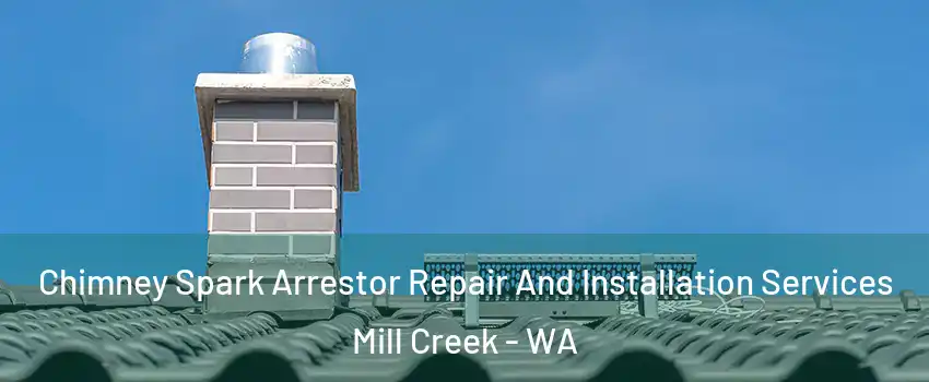  Chimney Spark Arrestor Repair And Installation Services Mill Creek - WA