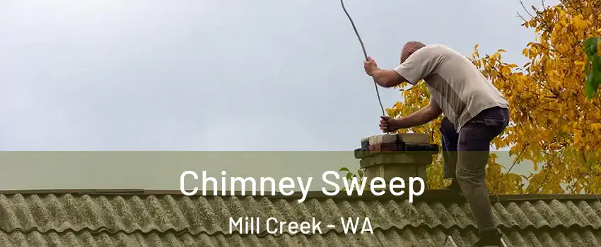 Chimney Sweep Mill Creek - WA
