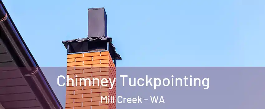  Chimney Tuckpointing Mill Creek - WA