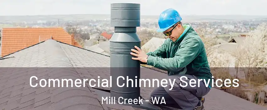  Commercial Chimney Services Mill Creek - WA