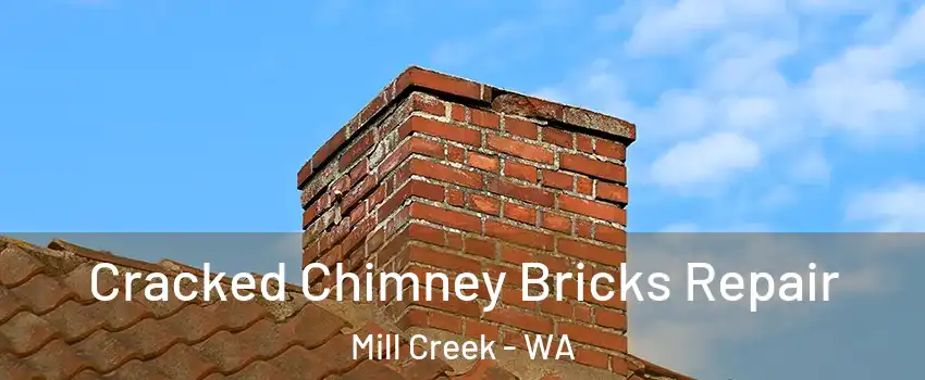  Cracked Chimney Bricks Repair Mill Creek - WA