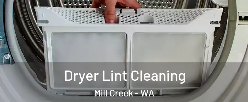  Dryer Lint Cleaning Mill Creek - WA