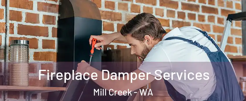  Fireplace Damper Services Mill Creek - WA