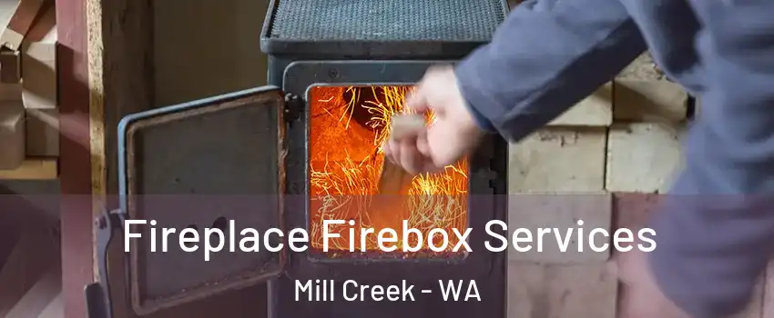  Fireplace Firebox Services Mill Creek - WA