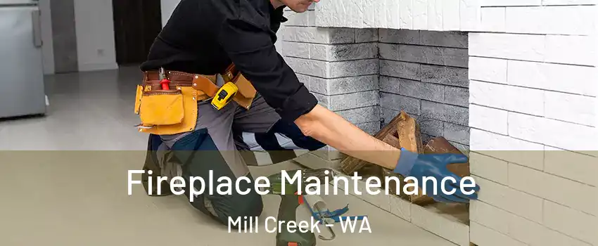  Fireplace Maintenance Mill Creek - WA