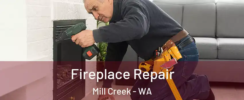  Fireplace Repair Mill Creek - WA