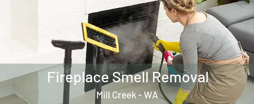  Fireplace Smell Removal Mill Creek - WA