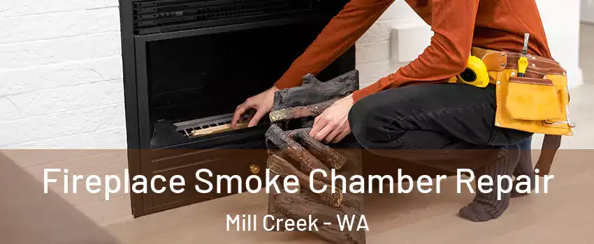  Fireplace Smoke Chamber Repair Mill Creek - WA