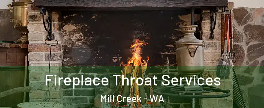  Fireplace Throat Services Mill Creek - WA