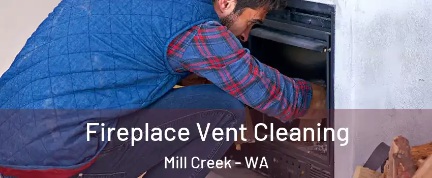  Fireplace Vent Cleaning Mill Creek - WA