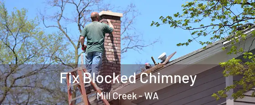  Fix Blocked Chimney Mill Creek - WA