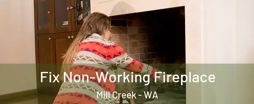  Fix Non-Working Fireplace Mill Creek - WA