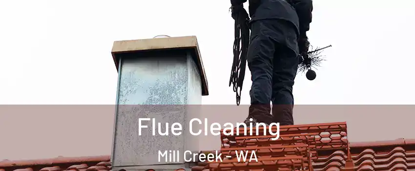  Flue Cleaning Mill Creek - WA