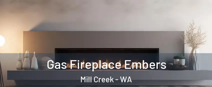  Gas Fireplace Embers Mill Creek - WA