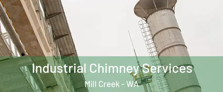  Industrial Chimney Services Mill Creek - WA