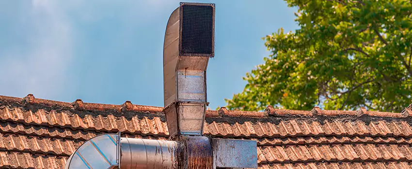 Chimney Blockage Removal in Mill Creek, Washington