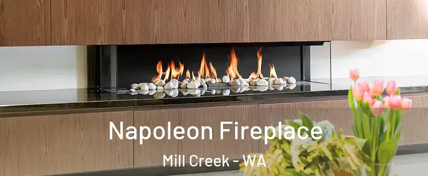 Napoleon Fireplace Mill Creek - WA