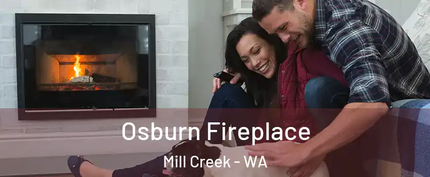  Osburn Fireplace Mill Creek - WA