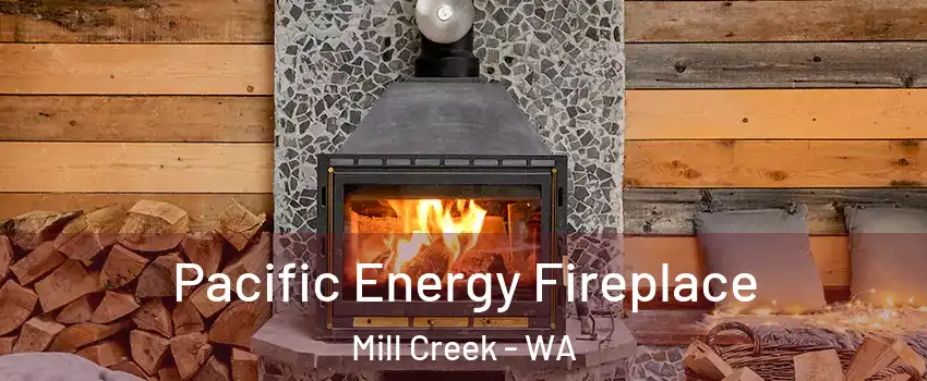  Pacific Energy Fireplace Mill Creek - WA