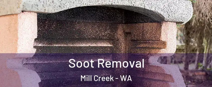  Soot Removal Mill Creek - WA
