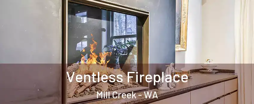  Ventless Fireplace Mill Creek - WA